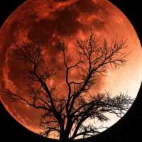 Supermoon, Blue Moon, dan Blood Moon: Apa Saja Bedanya?