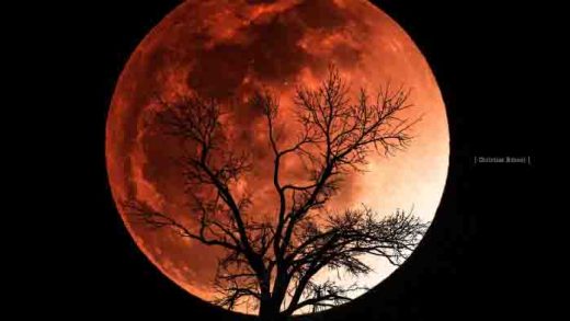 Supermoon, Blue Moon, dan Blood Moon: Apa Saja Bedanya?