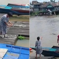 Video Viral Buaya 'Pura-pura Tenggelam'