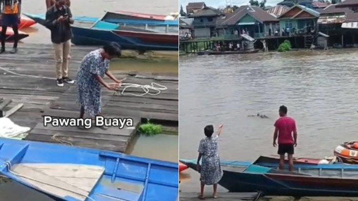 Video Viral Buaya 'Pura-pura Tenggelam'