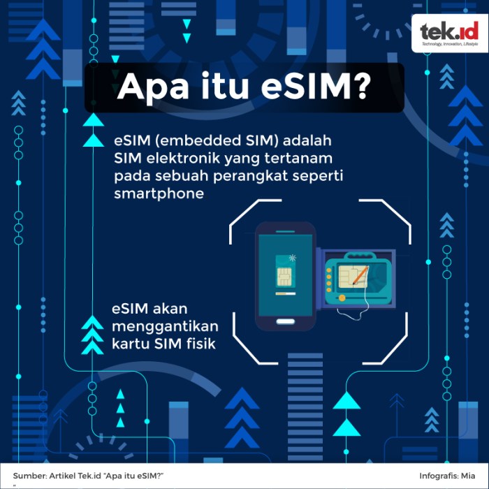 Esim biasa bedanya Esim biasa bedanya