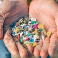 Mikroplastik dan Bahayanya bagi Ekosistem