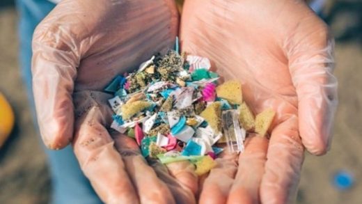 Mikroplastik dan Bahayanya bagi Ekosistem
