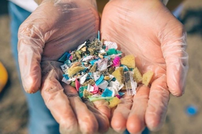 Bahaya Mikroplastik pada Air Minum Botol Plastik dan Dampaknya pada ... Mikroplastik dan Bahayanya bagi Ekosistem