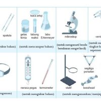 Peran Ilmu Sains Dalam Kurikulum Modern