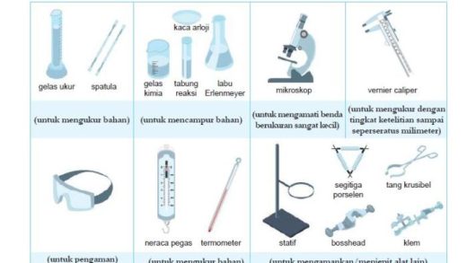 Peran Ilmu Sains Dalam Kurikulum Modern
