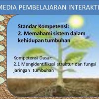 Metode Belajar Biologi Secara Visual dan Interaktif