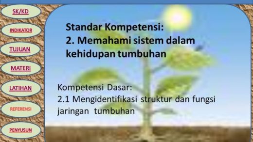 Metode Belajar Biologi Secara Visual dan Interaktif