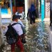 Banjir Rob Menggenangi Pesisir Surabaya, Sekolah Terpengaruh