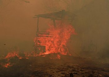 Catatan Kebakaran Hutan dan Lahan 936 Hektare di Kaltim