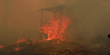 Catatan Kebakaran Hutan dan Lahan 936 Hektare di Kaltim