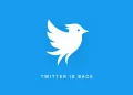 Twitter Berusaha Dihidupkan Lagi Lewat Fitur Terbaru Twitter Now