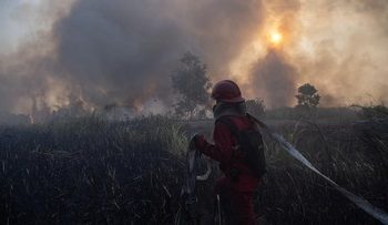 Asap Karhutla Masih Menutupi Kalbar Walau Jumlah Hotspot Menurun