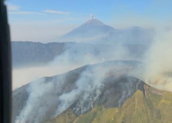 Karhutla Menghantam 25 Daerah Jatim Selama Musim Kemarau, 9000 Hektare Terbakar