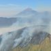 Karhutla Menghantam 25 Daerah Jatim Selama Musim Kemarau, 9000 Hektare Terbakar