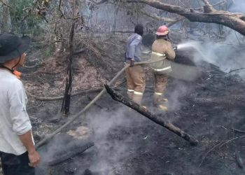 Karhutla Prabumulih Meluas ke Tiga Desa dan Menghanguskan Kebun Karet Warga