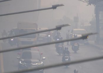 Jerit Hati Pedagang, Kabut Asap Palembang Rentankan Kesehatan dan Turunkan Omset