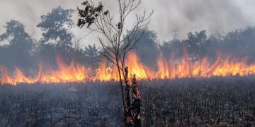 DPRD Sumsel Minta Polda Tindak 20 Korporasi Penyebab Karhutla