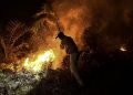 Prabowo Salurkan Bantuan Rp125 M untuk Penanganan Karhutla di Jambi
