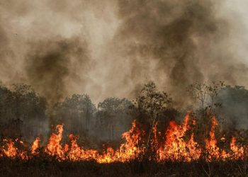 Penegakan Hukum Karhutla Perlu Target Lebih dari Sekadar Pelaku di Lapangan
